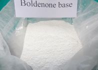 최상 보디빌딩용 기구를 위한 98% 순수한 익지않는 Boldenone 분말 Boldenone 스테로이드 화합물 CAS 846-48-0 판매