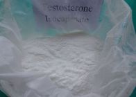 최상 부작용 없는 법적인 건강한 Isocaproate 익지않는 테스토스테론 분말 15262-86-9 판매